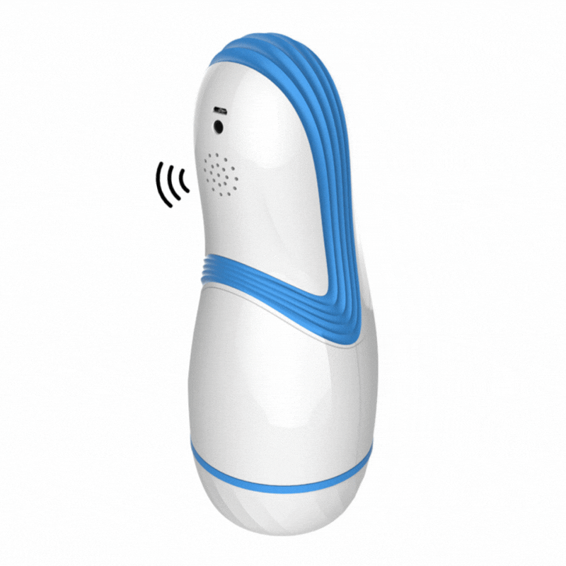 Interactive Audio Experience